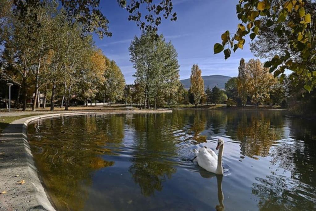 Ideal Parejas - Tranquilidad Y Naturaleza - Vistas Al Lago Osseja Exterior photo